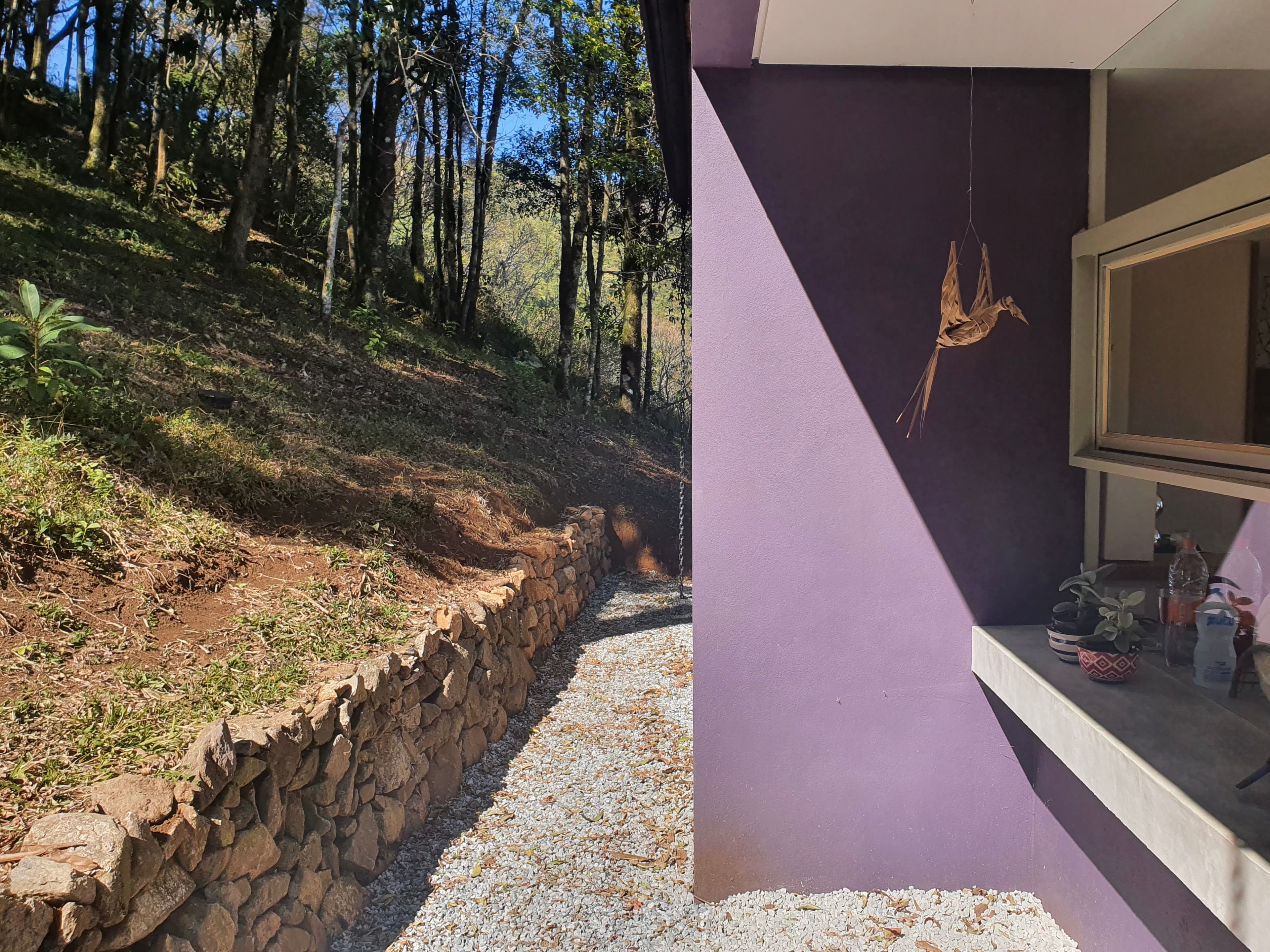 Casa Roxa - Detalhe Fundo