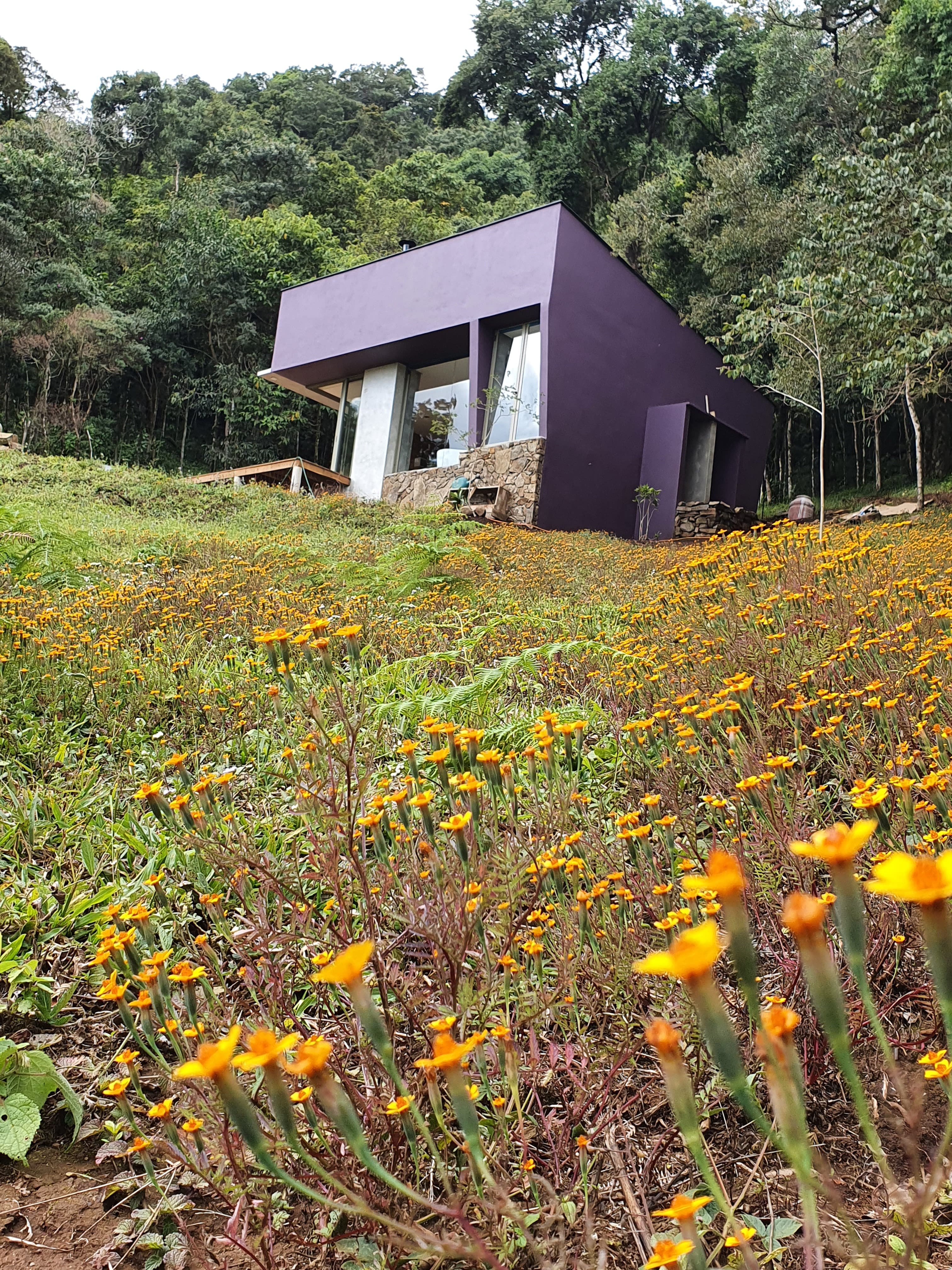 Casa Roxa - Externo